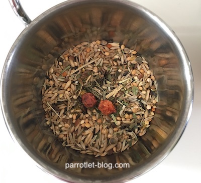 parrotlet seeds with dried rowanberry